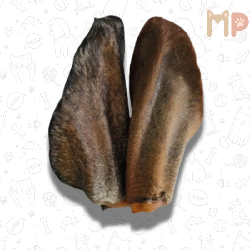 Orelha Bovina Natural – Preciosa | AlecrimPet (2 unidades)