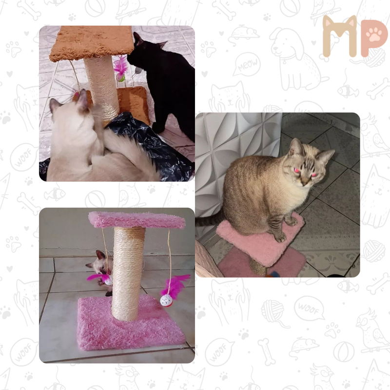 Torre Compacta para Gatos – Brinca & Arranha