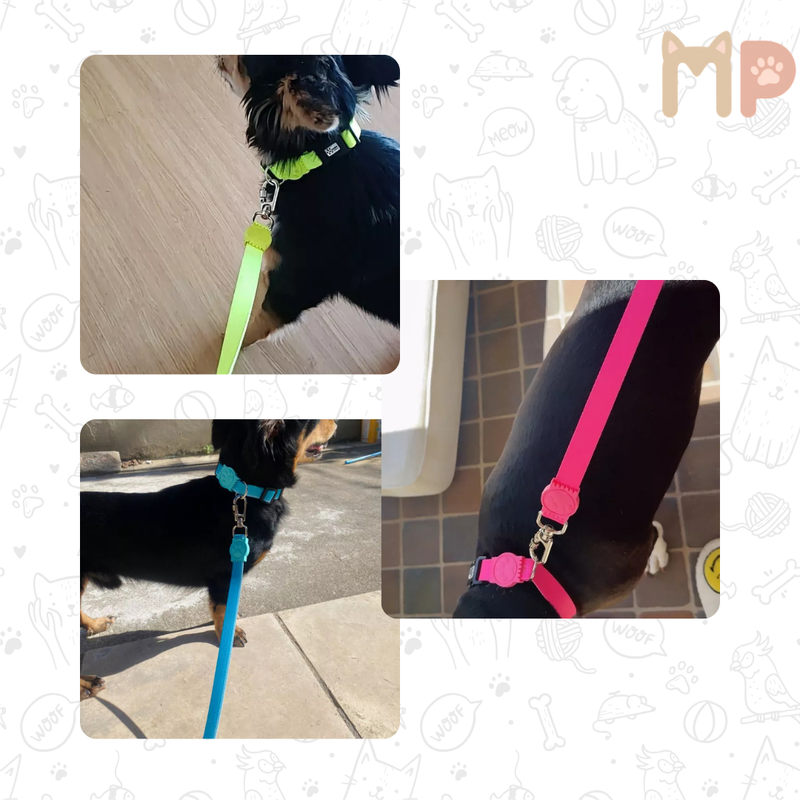Coleira Ajustável + Guia 1,20 m – Kit Passeio Clássico