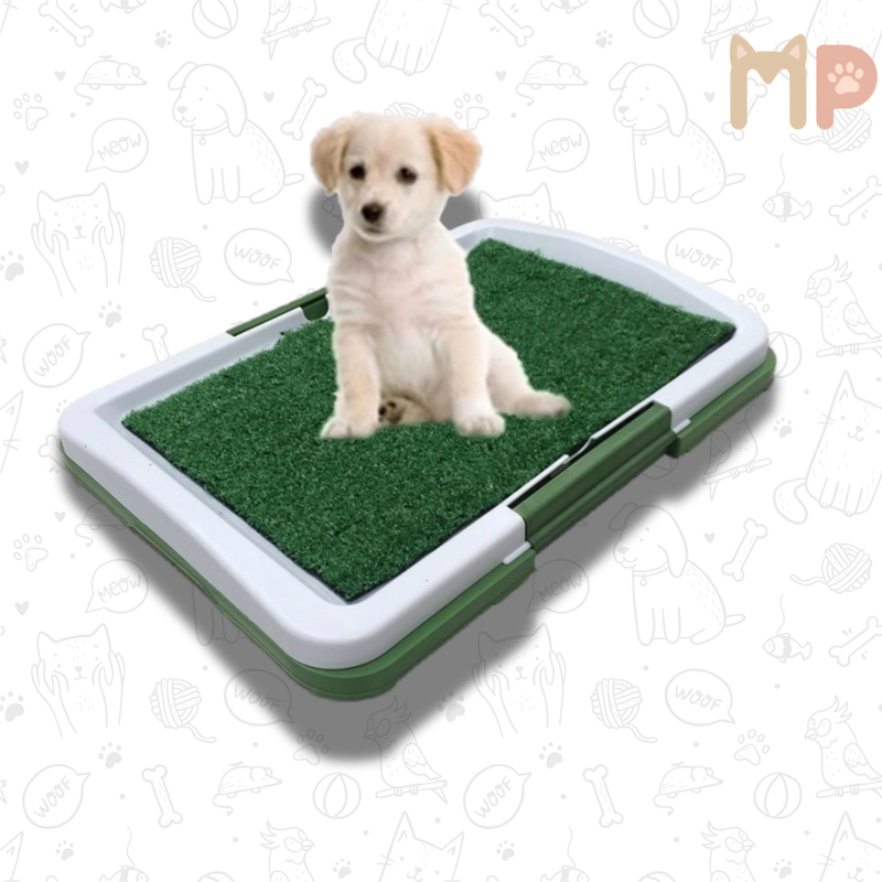 Sanitário Canino com Bandeja Lavável e Grama Sintética – Conforto e Higiene para o Seu Pet